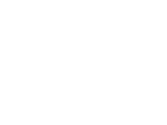 Fat Tail Investment Research